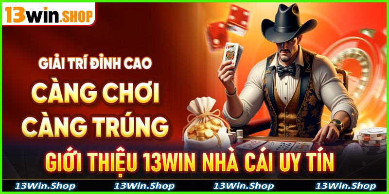 13win